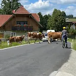 Biohof Koeck Tonibauer * Zeutschach