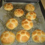 Biohof Koeck Tonibauer * Zeutschach