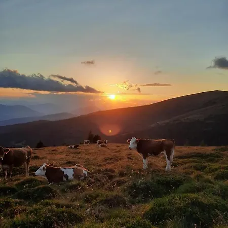 Farm stay Biohof Koeck Tonibauer