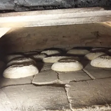 Biohof Koeck Tonibauer Zeutschach