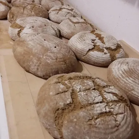 Farm stay Biohof Koeck Tonibauer