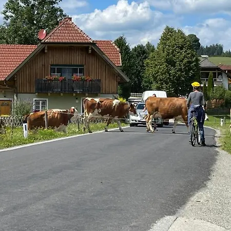 Biohof Köck Tonibauer * Zeutschach
