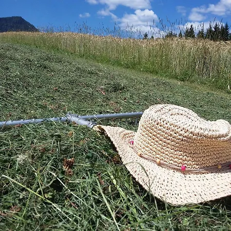 Farm stay Biohof Koeck Tonibauer *