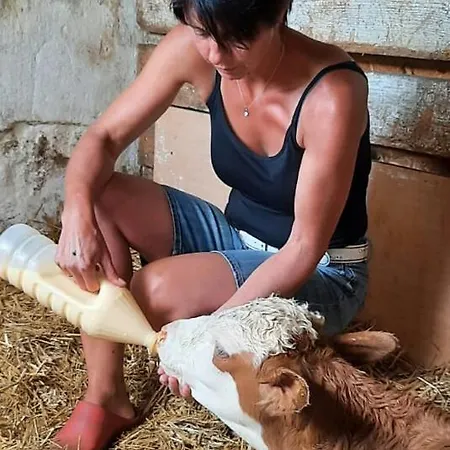 Biohof Koeck Tonibauer *