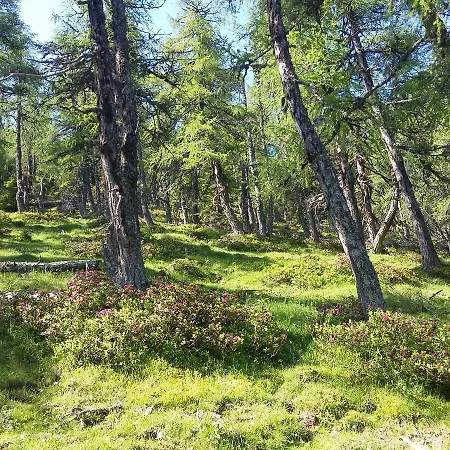 Biohof Koeck Tonibauer Farm stay *