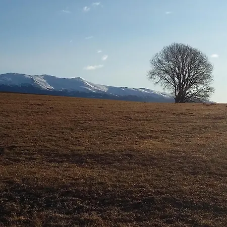 Vakantieboerderij Biohof Koeck Tonibauer