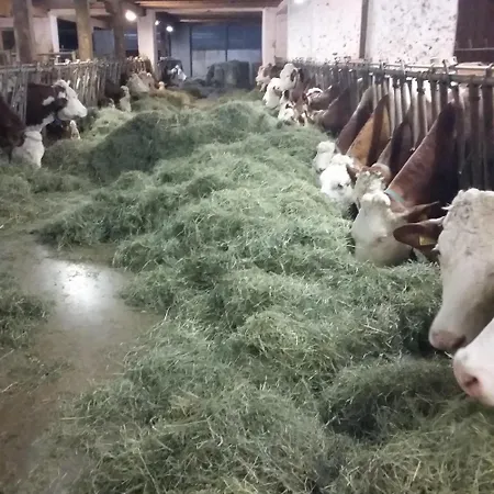 Biohof Koeck Tonibauer *