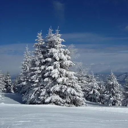 Biohof Koeck Tonibauer Farm stay