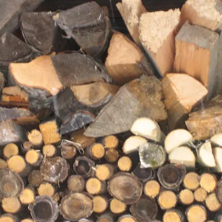 Farm stay Biohof Koeck Tonibauer *