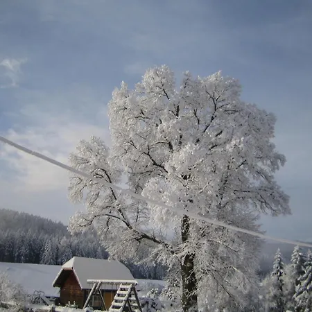 Biohof Koeck Tonibauer Farm stay *