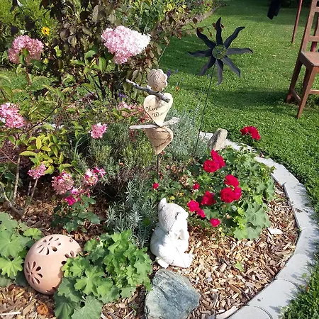 Biohof Koeck Tonibauer Farm stay