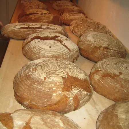 Farm stay Biohof Koeck Tonibauer Zeutschach