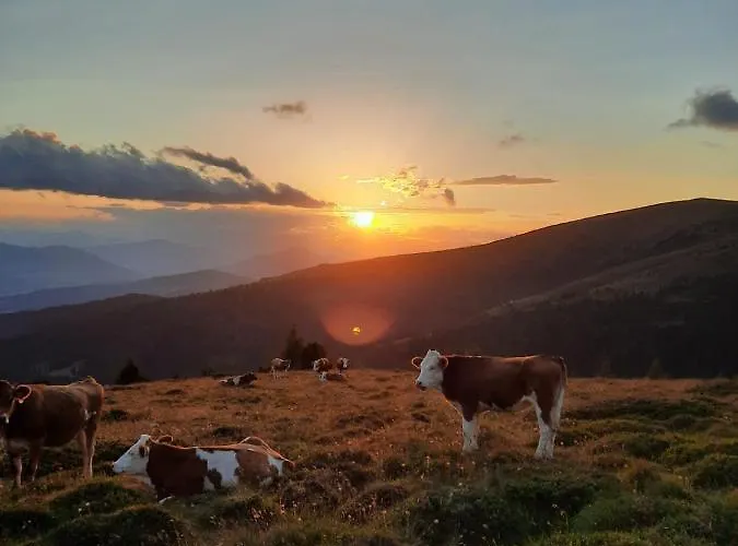 Vakantieboerderij Biohof Koeck Tonibauer