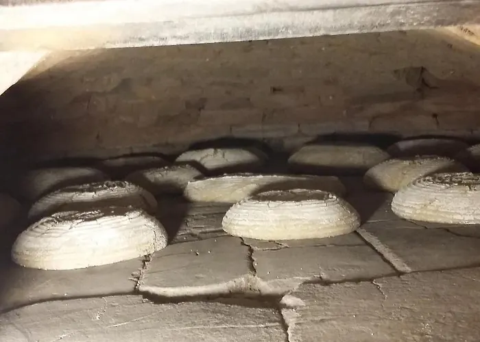 Biohof Koeck Tonibauer Zeutschach