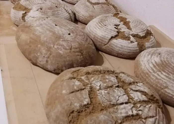 Çiftlik konaklama Biohof Koeck Tonibauer