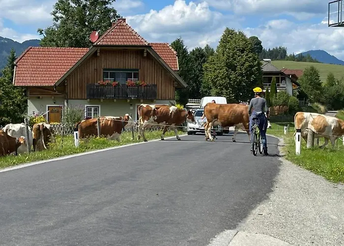 Biohof Koeck Tonibauer * Zeutschach
