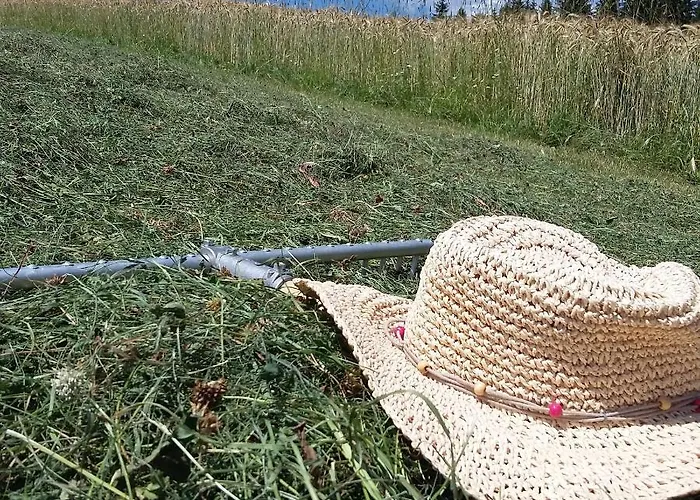 Vakantieboerderij Biohof Koeck Tonibauer *