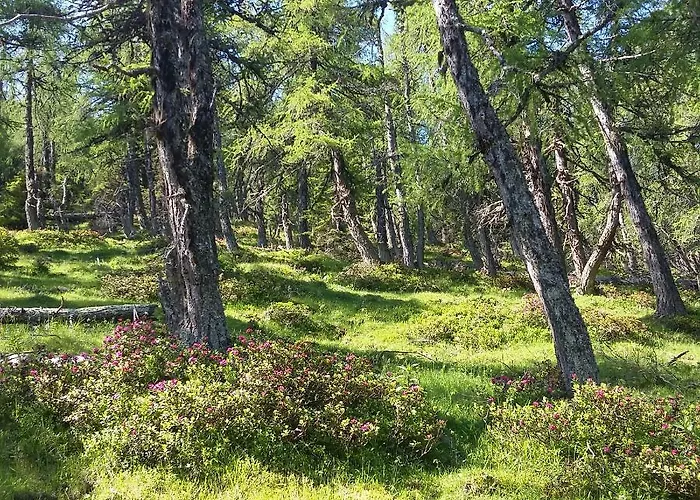 Biohof Koeck Tonibauer Çiftlik konaklama *