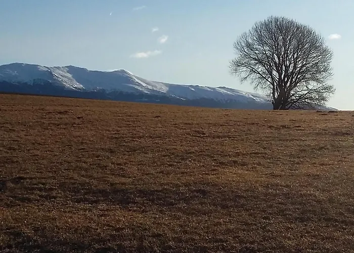 Çiftlik konaklama Biohof Koeck Tonibauer