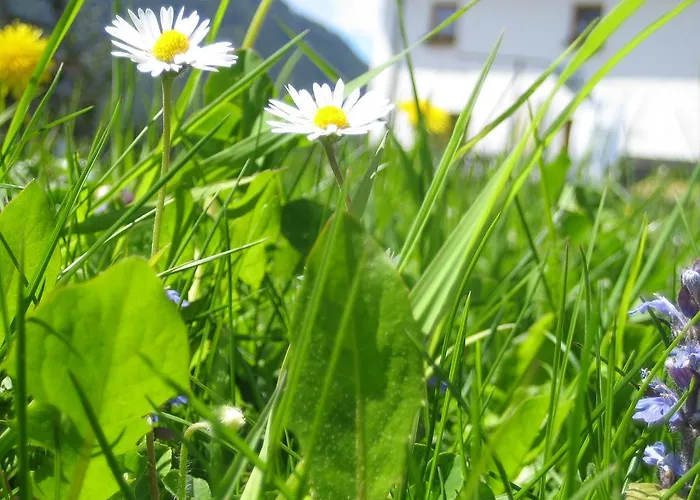 Biohof Koeck Tonibauer Alloggio per agriturismo Zeutschach