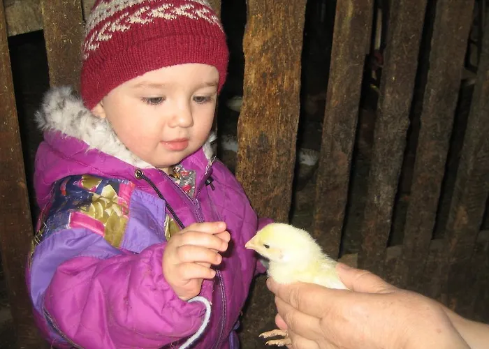 Vakantieboerderij Biohof Koeck Tonibauer Zeutschach