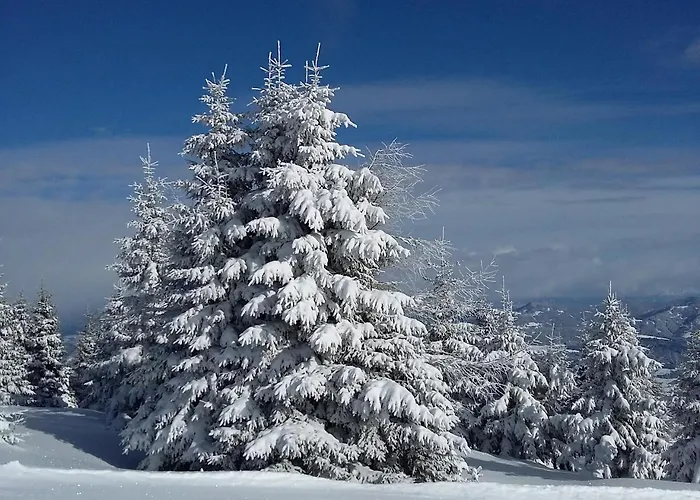 Biohof Koeck Tonibauer Çiftlik konaklama