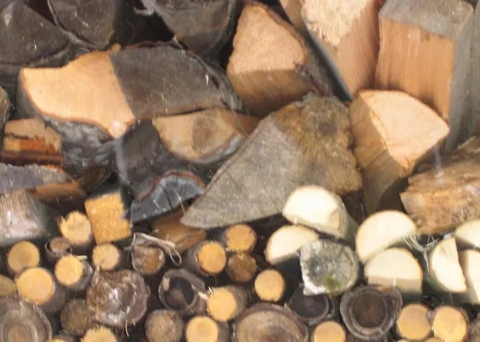 Vakantieboerderij Biohof Koeck Tonibauer *