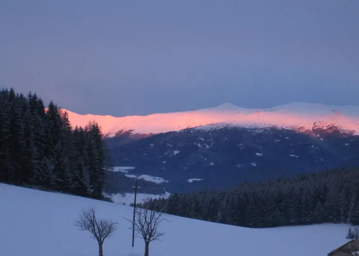 Biohof Koeck Tonibauer Zeutschach