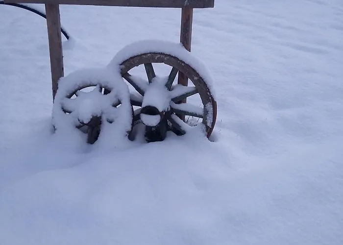 Biohof Koeck Tonibauer