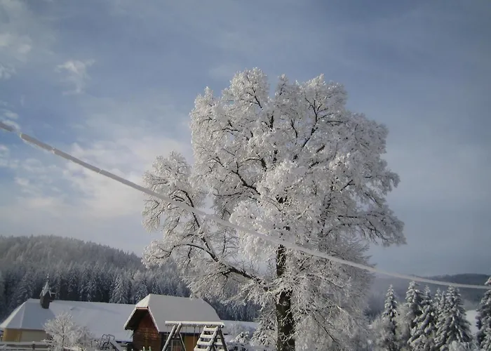 Biohof Koeck Tonibauer Alloggio per agriturismo *