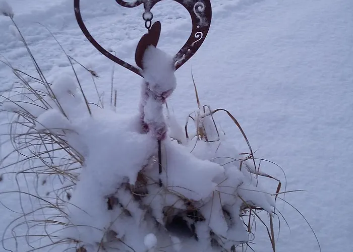 Biohof Koeck Tonibauer * Zeutschach