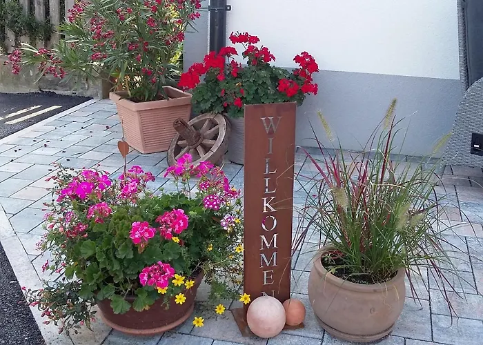 Biohof Koeck Tonibauer Zeutschach