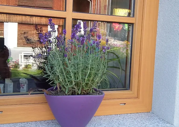 Biohof Koeck Tonibauer Vakantieboerderij Zeutschach